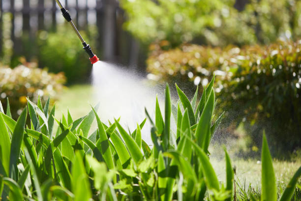 24/7 Emergency Wasp Removal experts in Walker, LA
