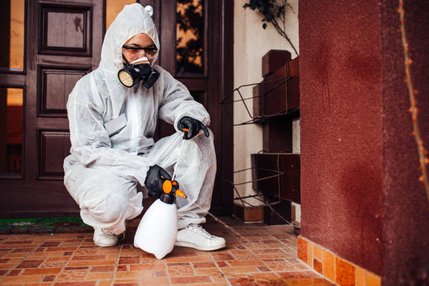 Reliable Wasp Removal contractor in Walker, LA by Show Me Pest Control
